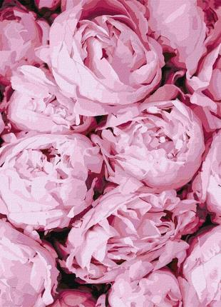 Картина по номерам "розовая нежность" идейка kho2998 40х50 см
