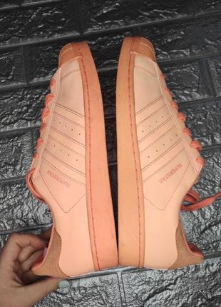Кроссовки superstar от adidas 7