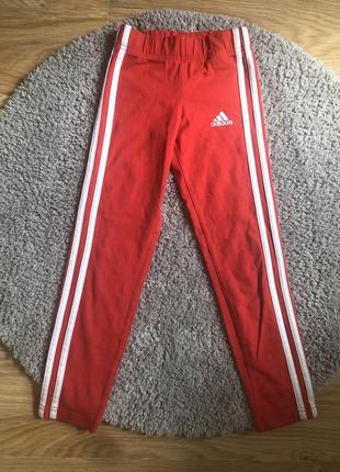 Лосіни оригінал adidas