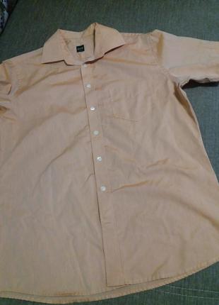 Тенниска\  рубашка/хамелеон