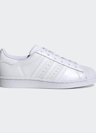 Кросівки жінок. adidas superstar w cloud white (арт. fv3285)1 фото