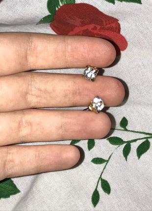 Сережки гвоздики