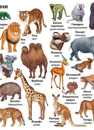 Первые слова: животные + английская домашние животные. дикие животные. птицы. доисторические животные. морские животные.4 фото