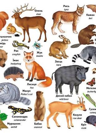 Первые слова: животные + английская домашние животные. дикие животные. птицы. доисторические животные. морские животные.6 фото