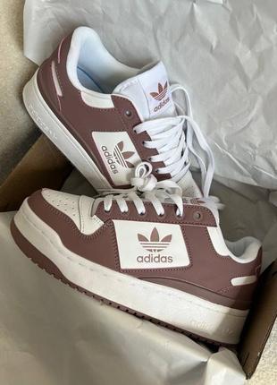 Adidas forum 84 low premium bordo жіночі стильні кеди кросівки адідас білі бордові демі женские бордовые белые кеды кроссовки7 фото