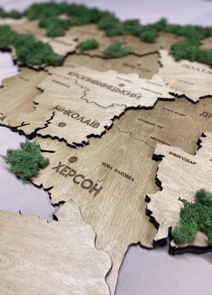 Карта україни багатошарова 3d з мохом колір oak moss4 фото