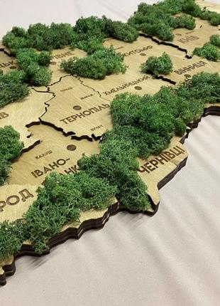 Карта україни багатошарова 3d з мохом колір oak moss3 фото