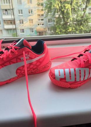 Футзалки, сороконожки puma evo speed р.37