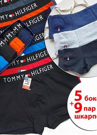 Мужские трусы и носки