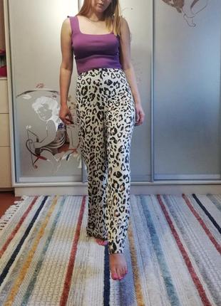 Леопардові штани2 фото