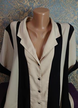Женская блуза в полоску большой размер батал 54/46 блузка блузочка5 фото