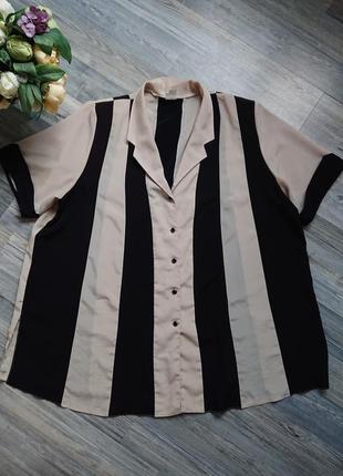 Женская блуза в полоску большой размер батал 54/46 блузка блузочка7 фото