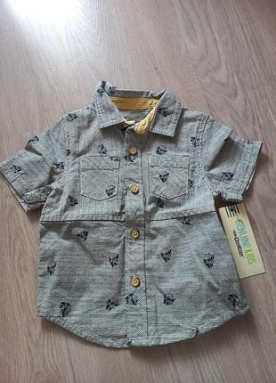 Сорочка 12м