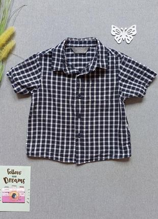 Детская летняя рубашка 6-9 мес с коротким рукавом для мальчика