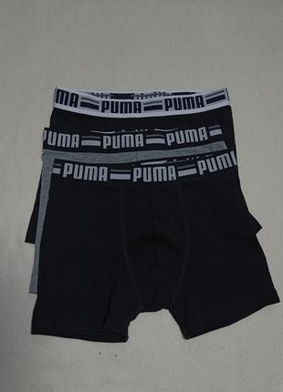 Нижнее белье puma kids basic boxer brand 2