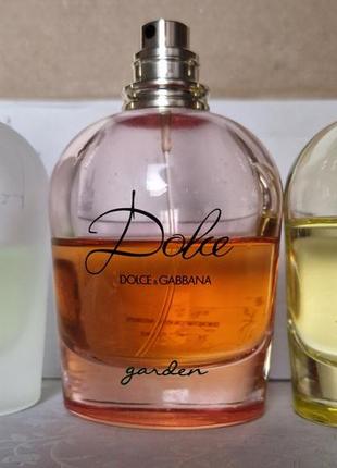 Dolce shine dolce&gabbana