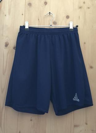 Мужские спортивные шорты