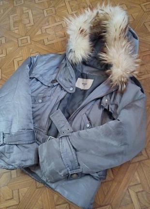 Курточка зима1 фото