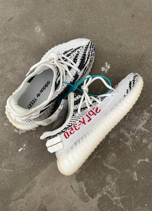 Женские текстильные кроссовки adidas yeezy boost 350 zebra.7 фото