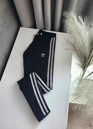 Лосины adidas