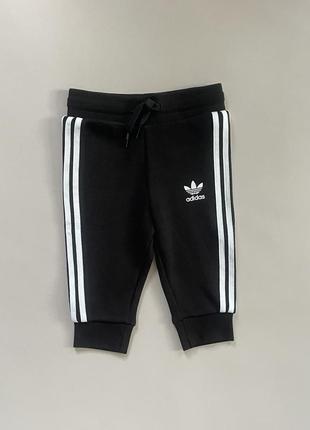 Спортивные штаны adidas adicolor originals h25218