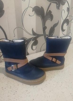 Новые сапоги clarks