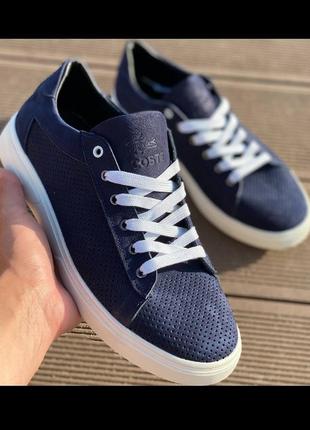 Мужские летние кожаные кеды lacoste перфорацыя синие