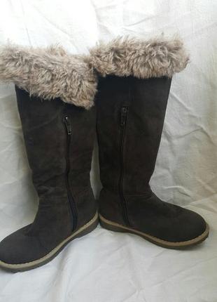 Демисезонные ботфорды creeks р.28