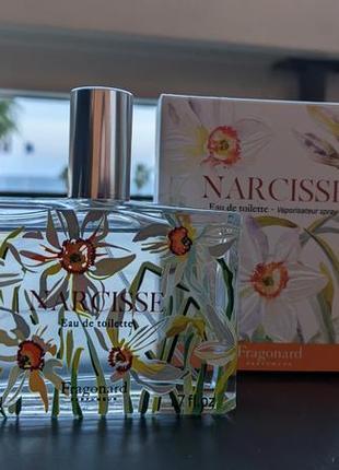 Narcisse fragonard (нарцис фрагонар)2 фото