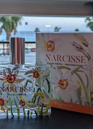 Narcisse fragonard (нарцис фрагонар)3 фото