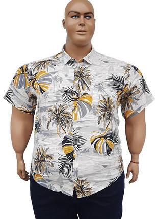 Гавайська сорочка.