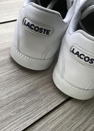 Кроссовки lacoste кед кеды кроссовки7 фото