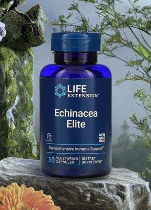 Life extension, echinacea elite /  ехінацея еліт, 60 вегетаріанських капсул