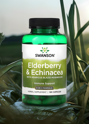 Бузина и эхинацея с грибом агарикус, elderberry & echinacea, swanson, 120 капсул