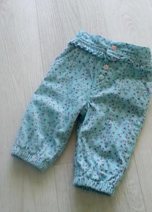 Штаны вельветовые на подкладке для девочки m&co baby 0-3 мес 50-62 см.
