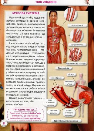 Усе про тіло людини. 1000 цікавих фактів10 фото