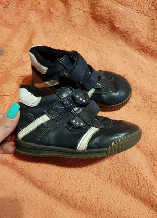 Ботинки кожа