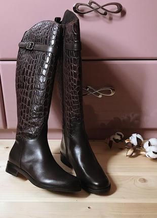 Сапоги еврозима clarks