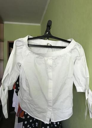 Блуза белый хлопок бренд