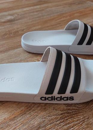 Мужские шлепанцы adidas adilette shower