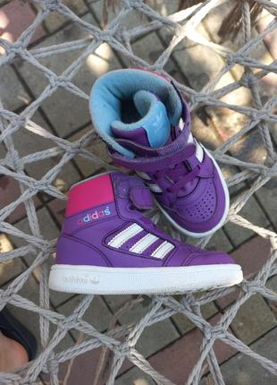 Adidas хайтопи