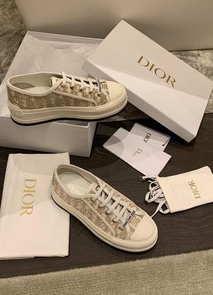 Кеди dior