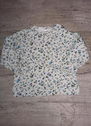 Кофтинка світшот zara baby