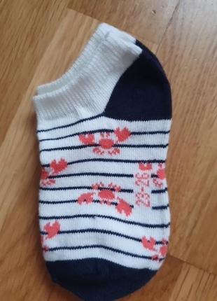 Набір шкарпеток lupilu4 фото