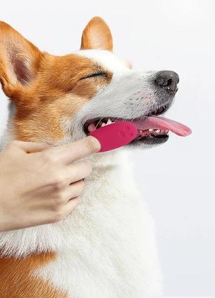 Силиконовая зубная щетка на палец для кошек и собак для домашних животных, инструменты для чистки, товары для ухода для дома3 фото