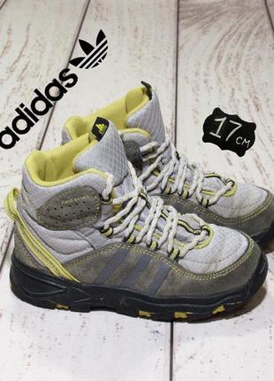 Adidas cerro trail — цена 290 грн в каталоге Ботинки ✓ Купить товары для  детей по доступной цене на Шафе | Украина #28060936