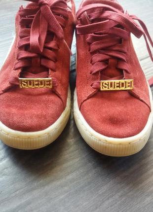 Кеди puma suede