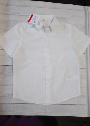 Однотонна сорочка c&a однотонна сорочка короткий рукав c&a сорочка в школу 116 palomino теніска palomino 110