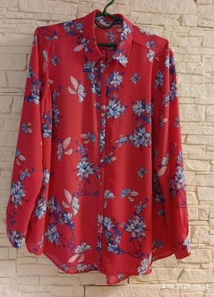 Жіноча блуза батал розмір 52-54