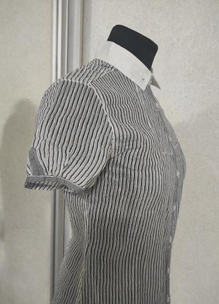 Рубашка тепниска с шелком полупрозрачная с белым воротничком в виде maje loro piana isabel marant приталенная2 фото